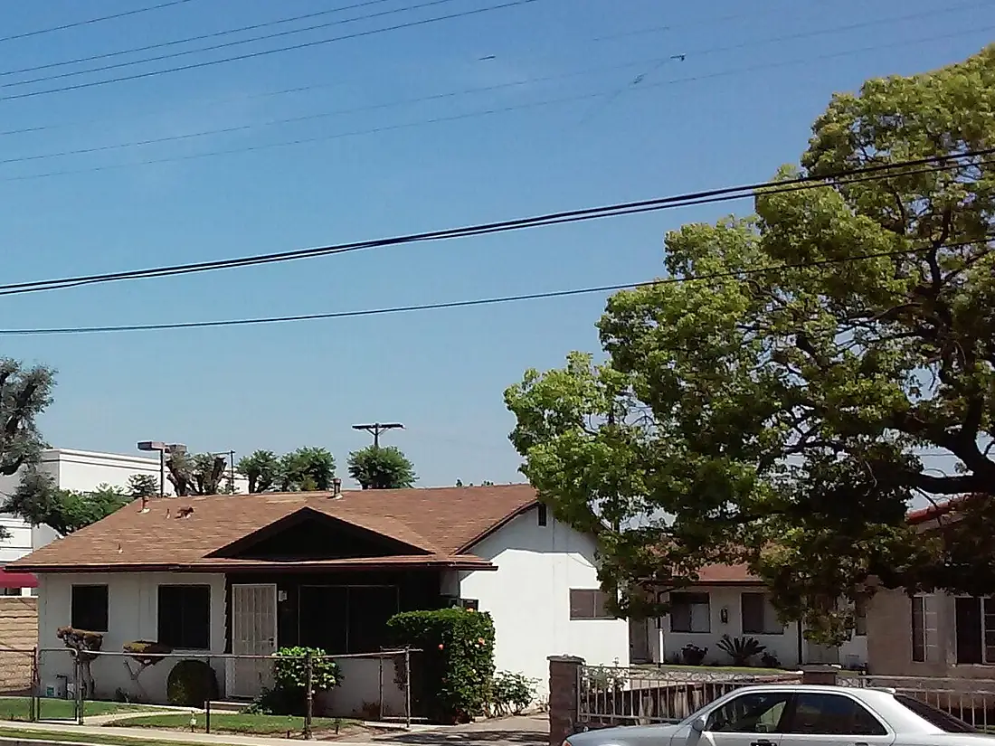 A single-story bungalow with a low hipped roof behind a small front lawn on a Monterey Park street